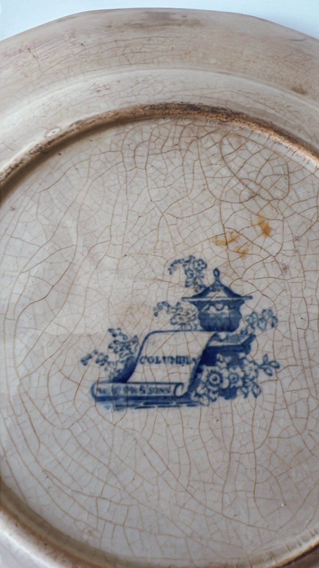 Old Vintage Blue Plate